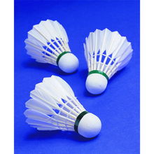 天天動 一站式羽毛球場地預訂與培訓服務