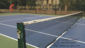 球拍的演變與分類