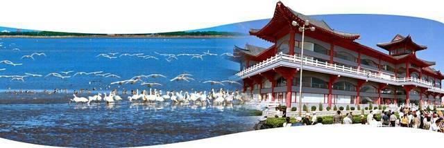 山東文旅融合新篇章 “黃河入海”與“仙境海岸”雙品牌驅(qū)動(dòng)旅游發(fā)展