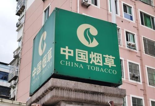 新疆煙草局校招開啟 擴招名額，高中起點，專業不限，軟件開發崗位吸引貴州學子